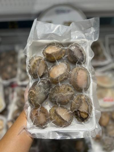 Bào Ngư giá sỉ