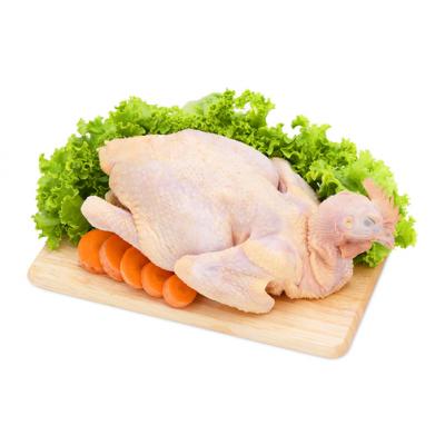 Bỏ sỉ Gà công nghiệp nguyên con