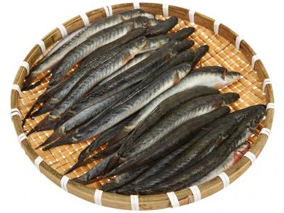 Cá kèo 500g (20 - 23 con)