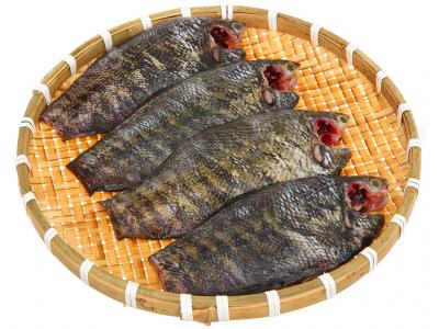 Cá sặc rằn 500g - 550g (3 - 5 con)
