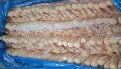 cánh gà đông lạnh giá sỉ