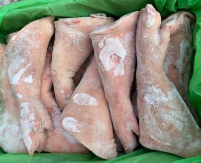 CHÂN GIÒ HEO NGUYÊN TRƯỚC VION