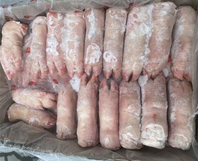 Chân heo trước đông lạnh Alegra nhập khẩu Brazil