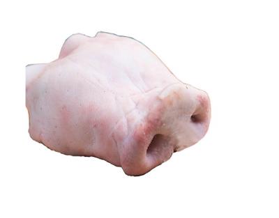 Cung cấp mũi heo, Mũi Heo Đông Lạnh, Giá mũi Heo