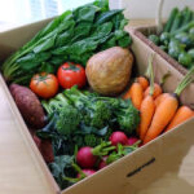 Cung Cấp Sỉ Và Lẻ Rau, Củ, Quả Đà Lạt