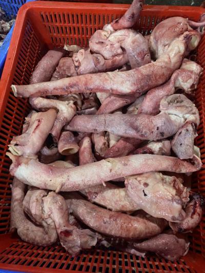 cuống tim bò