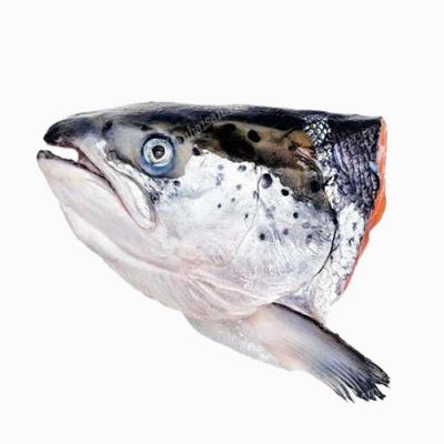 Đầu Cá Hồi Nauy Villas Seafood 400g up thùng 20kg