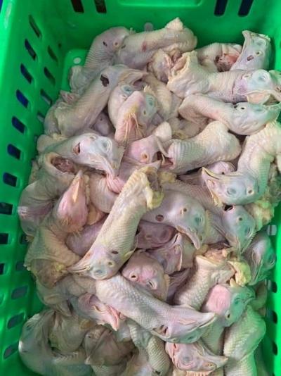Đầu gà mồi giá sỉ, giá bán buôn