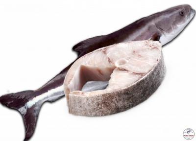 Địa chỉ cửa hàng bán Cá bớp giá sỉ