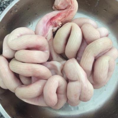 DỒI TRƯỜNG HEO NON TƯƠI ( NHỎ) – KG