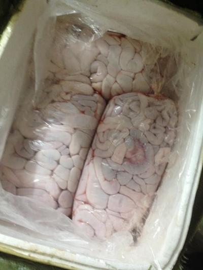 Dồi trường heo ( tràng heo) tươi