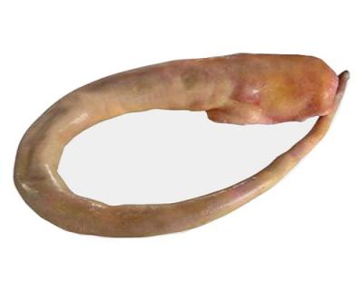 Đuôi trâu đông lạnh, Đuôi bò đông lạnh, Đuôi trâu, Đuôi trâu ấn độ