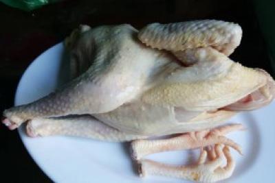 GÀ TA THẢ VƯỜN LOẠI NGON LÀM SẴN ( Kg )