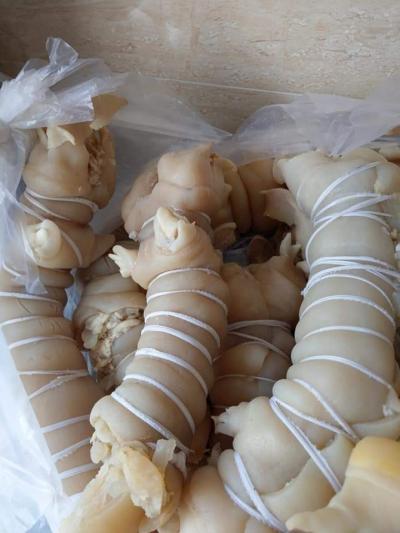 Gân cuộn