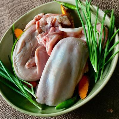 LƯỠI HEO VION