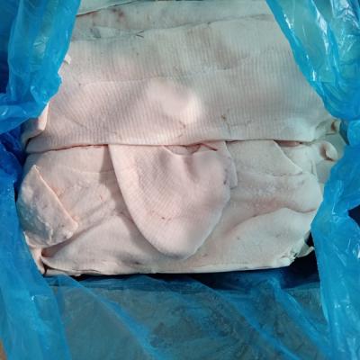 MỞ LƯNG HEO BAUCELLS