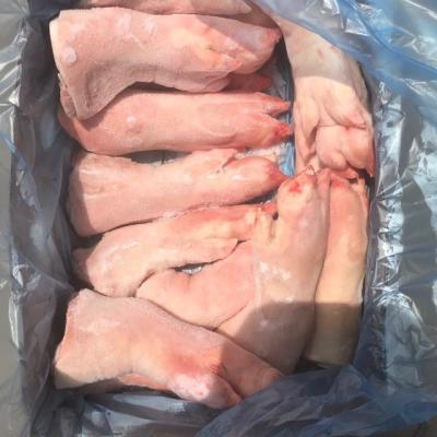 MÓNG HEO TRƯỚC SAUDALI 20KG