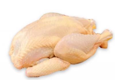 Mua bán sỉ Gà Thả Vườn, Gà tam hoàng size nướng