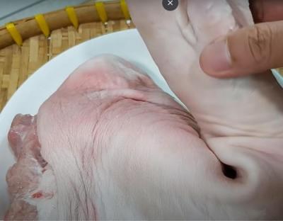 Mua bán sỉ lẻ Dựng Sau Heo Chân Giò Heo đông lạnh