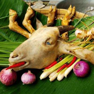 Mua thịt dê giá sỉ ở đâu rẻ và chất lượng?