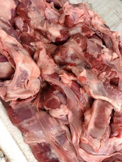 Nạc dây chẳng dừng heo đông lạnh nhập khẩu Tây Ban Nha