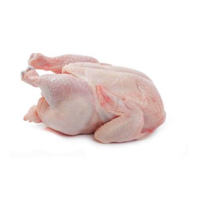 nhà cung cấp bán buôn thịt gia cầm gà vịt tươi, đông lạnh
