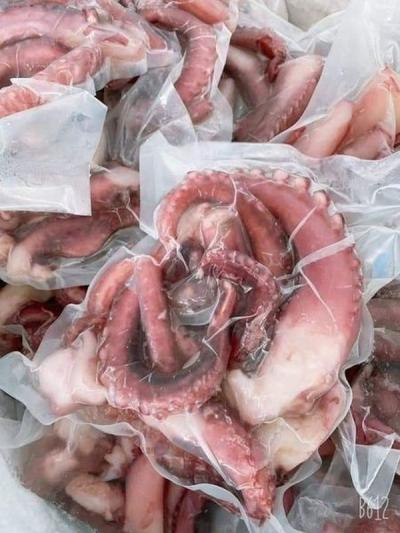 Râu Bạch Tuột giá sỉ