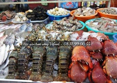 Sỉ hải sản tươi sống quận 7