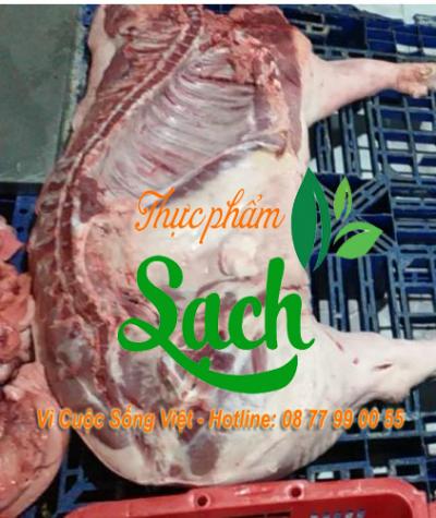 Sỉ thịt heo mảng thịt heo nóng ,lò mổ 20 con ngày