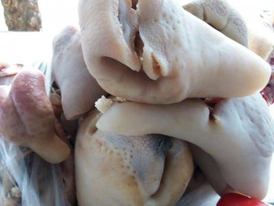 TAI MŨI BÒ