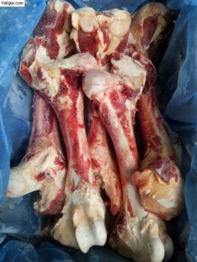 Xương ống bò có gân