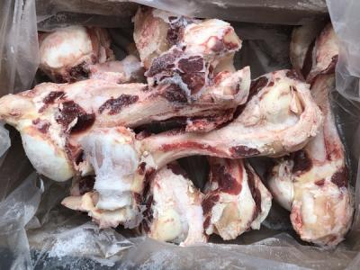 Xương ống bò Green Ham - Úc (~13-19kg)
